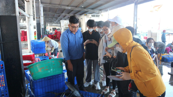 THAM QUAN THỰC TẾ TẠI CẢNG CÁ HÒN RỚ VÀ VIỆN HẢI DƯƠNG HỌC NHA TRANG 