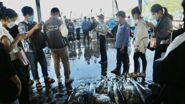 THAM QUAN THỰC TẾ TẠI CẢNG CÁ HÒN RỚ VÀ VIỆN HẢI DƯƠNG HỌC NHA TRANG 