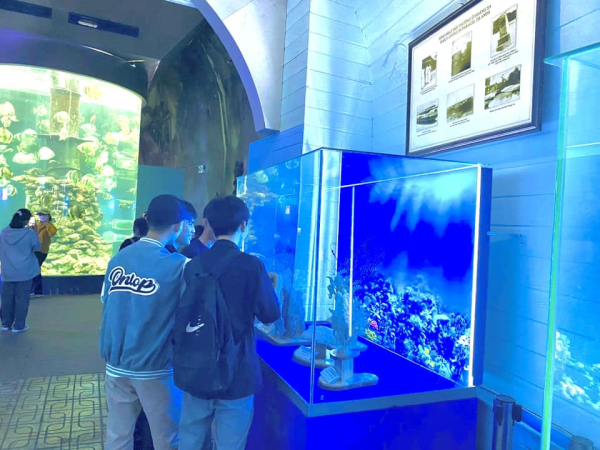 THAM QUAN THỰC TẾ TẠI CẢNG CÁ HÒN RỚ VÀ VIỆN HẢI DƯƠNG HỌC NHA TRANG 