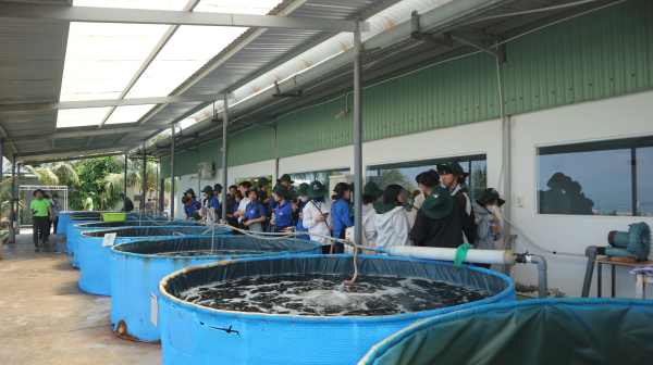 Khoá 66 tham quan ngoại khóa tại Trung tâm phát triển công nghệ rong biển – Công ty TNHH Trí Tín.