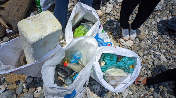 HƯỞNG ỨNG NGÀY MÔI TRƯỜNG THẾ GIỚI 2025