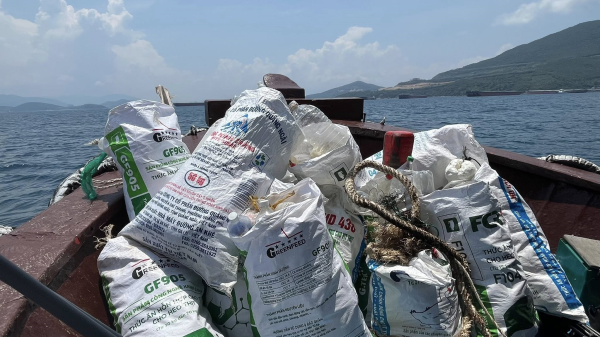 HƯỞNG ỨNG NGÀY MÔI TRƯỜNG THẾ GIỚI 2025